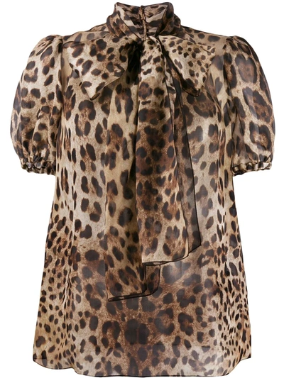 Shop Dolce & Gabbana Leopard-print Pussy-bow Organza Blouse In Brown