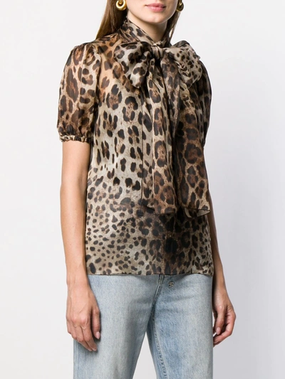 Shop Dolce & Gabbana Leopard-print Pussy-bow Organza Blouse In Brown