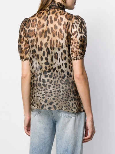 Shop Dolce & Gabbana Leopard-print Pussy-bow Organza Blouse In Brown