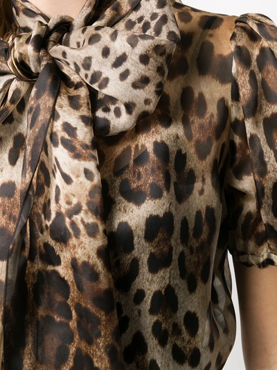 Shop Dolce & Gabbana Leopard-print Pussy-bow Organza Blouse In Brown