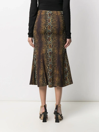 Shop Versace Snake-print Mid-length Skirt In Neutrals