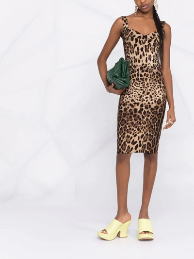 Shop Dolce & Gabbana Leopard-print Corset Midi Dress In Nude