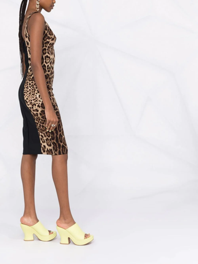 Shop Dolce & Gabbana Leopard-print Corset Midi Dress In Nude