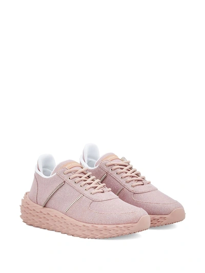 Shop Giuseppe Zanotti Urchin Low-top Sneakers In Pink