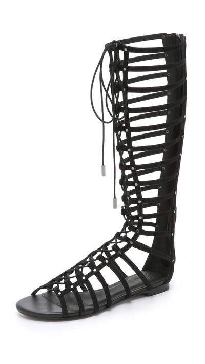 Joie Falacia Suede Lace-up Gladiator Sandals In Black