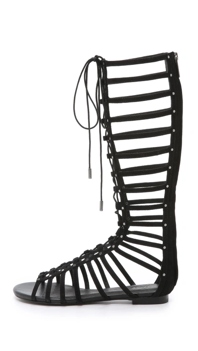 Shop Joie Falicia Gladiator Sandals In Black