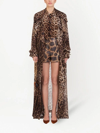 Shop Dolce & Gabbana Leopard-print Organza Trench Coat In Brown