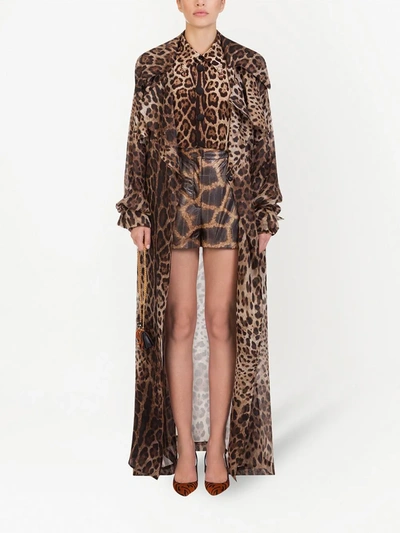 Dolce & Gabbana Leopard Print Double Breasted Trench Coat In Brown