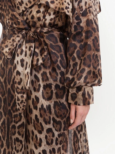 Shop Dolce & Gabbana Leopard-print Organza Trench Coat In Brown