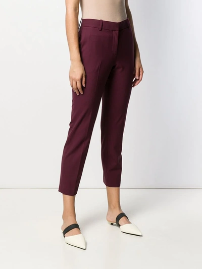 Shop Theory Jetted Crop Trousers In Red