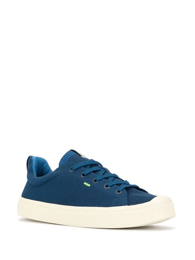 Shop Cariuma Ibi Low-top Knit Sneakers In Blue