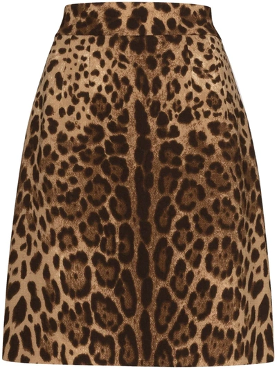 Shop Dolce & Gabbana Leopard-print A-line Skirt In Brown