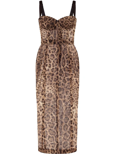 Shop Dolce & Gabbana Leopard-print Bustier Midi Dress In Brown