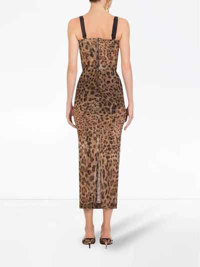Dolce & Gabbana Longuette Tulle Dress With Leopard Print In Brown