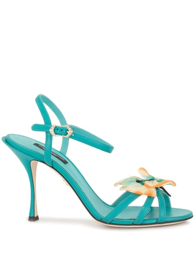 Shop Dolce & Gabbana Butterfly Appliqué Sandals In Green