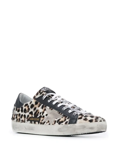 Shop Golden Goose Super-star Leopard-print Sneakers In Brown