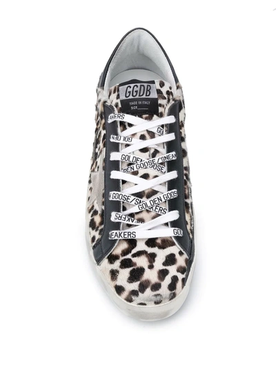 Shop Golden Goose Super-star Leopard-print Sneakers In Brown