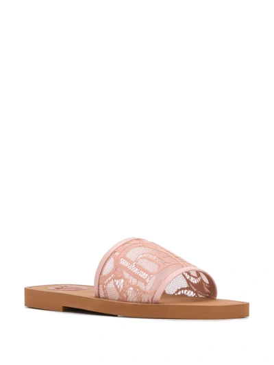 Shop Chloé Woody Lace Sliders In Pink