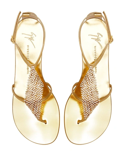 Shop Giuseppe Zanotti Josie Sandals In Gold