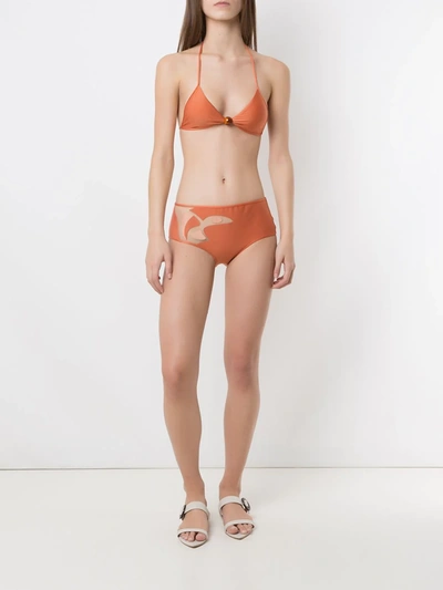 Shop Adriana Degreas X Cult Gaia Panelled Bikini Set In Orange