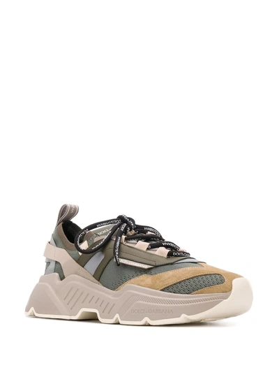 Shop Dolce & Gabbana Daymaster Low-top Sneakers In Green