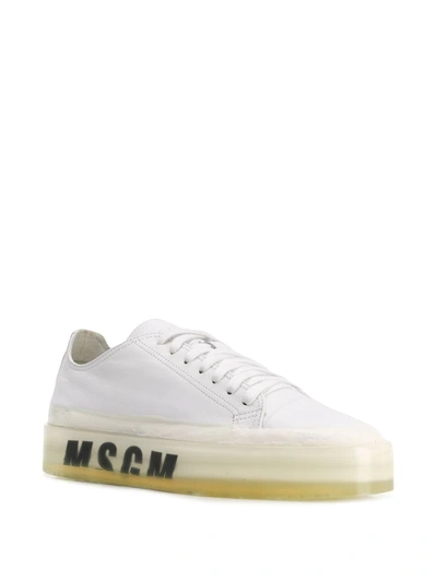 Shop Msgm Oversized Sole Sneakers In White