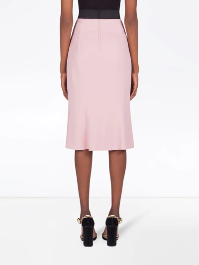 Shop Dolce & Gabbana Scallop-edge Waistband Skirt In Pink
