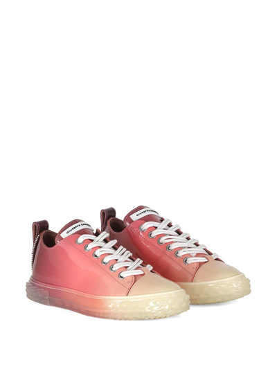 Giuseppe Zanotti Gradient-effect Patent-leather Sneakers In Pink