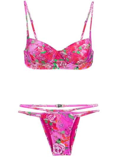 Shop Amir Slama Rose Print Bikini Set In Pink