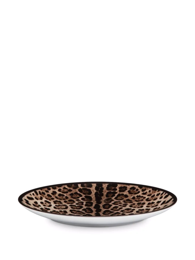 Shop Dolce & Gabbana Leopard-print Porcelain Dinner Plates (set Of 2) In Brown