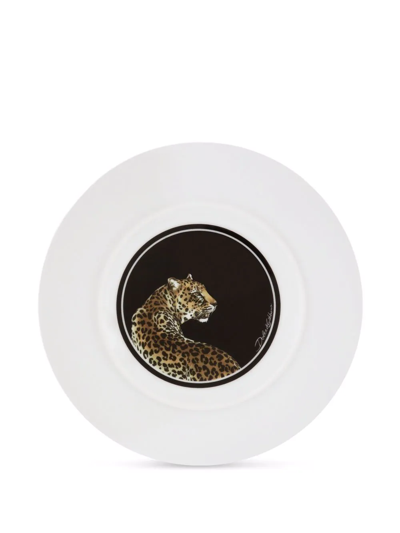 Shop Dolce & Gabbana Leopard-print Porcelain Dinner Plates (set Of 2) In Brown