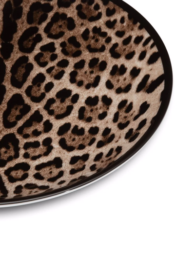 Shop Dolce & Gabbana Leopard-print Porcelain Dinner Plates (set Of 2) In Brown