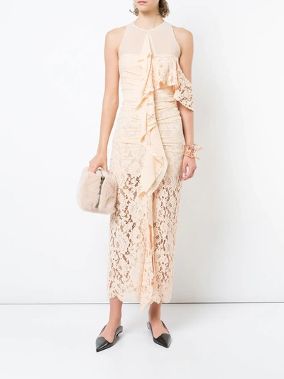 Shop Proenza Schouler Corded Lace Dress In Neutrals