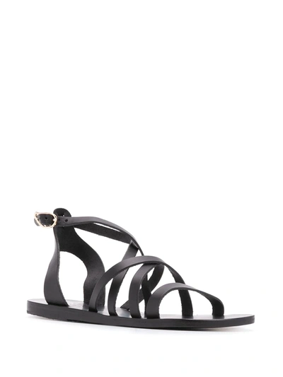 Shop Ancient Greek Sandals Delia Strappy Sandals In Black