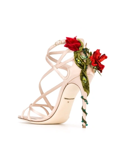 Shop Dolce & Gabbana Climbing Rose Sandals In Pink