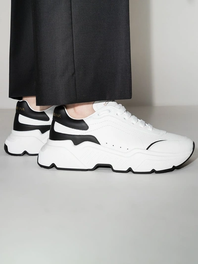 Shop Dolce & Gabbana Daymaster Leather Sneakers In White