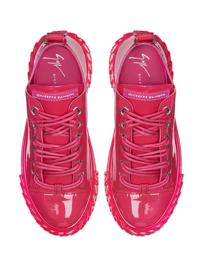 Shop Giuseppe Zanotti Low-top Leather Sneakers In Pink