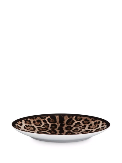 Shop Dolce & Gabbana Leopard-print Porcelain Dessert Plates (set Of 2) In Brown