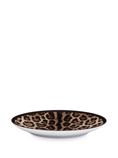 Dolce & Gabbana Leopard-print Porcelain Dessert Plates (set Of 2) In Brown