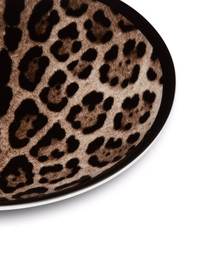 Dolce & Gabbana Leopard-print Porcelain Dessert Plates (set Of 2) In Brown