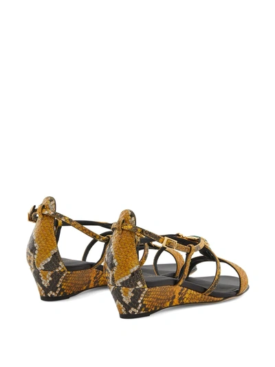 Shop Giuseppe Zanotti Adelaide Python-print Sandals In Multicolour
