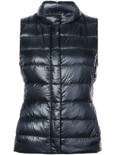 Shop Herno Zip Quilted Gilet In Blue