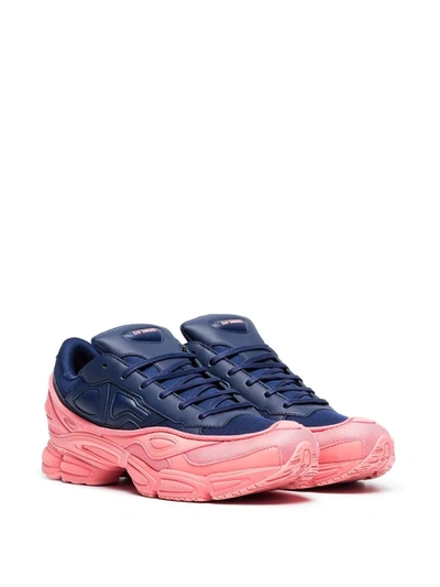 Ordinere Seaport Råd Adidas Originals X Raf Simons Ozweego Leather Sneakers In Pink | ModeSens