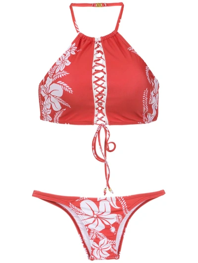 Shop Amir Slama Printed Bikini Set In Red