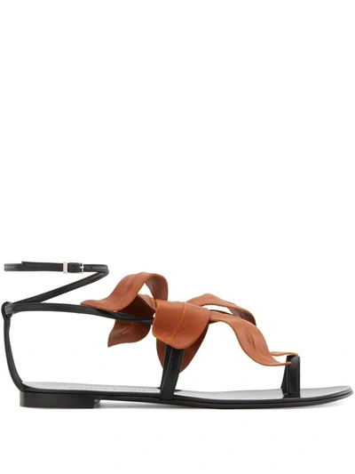 Shop Giuseppe Zanotti Lilium Flat Sandals In Black