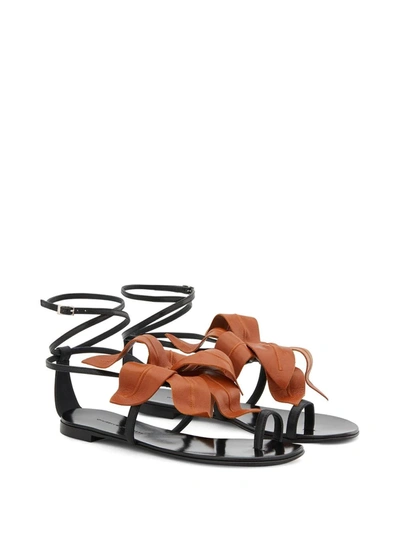 Shop Giuseppe Zanotti Lilium Flat Sandals In Black