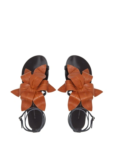 Giuseppe Zanotti Lilium Flat Sandals In Black