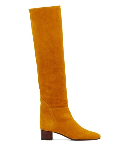 Shop Giuseppe Zanotti Clelia Knee Boots In Yellow