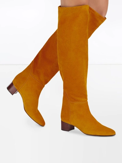 Shop Giuseppe Zanotti Clelia Knee Boots In Yellow