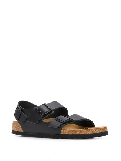 Shop Birkenstock Milano Buckled Sandals In Black